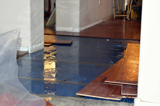 Professional Burst Pipe Cleanup technician working in West Lebanon, NH